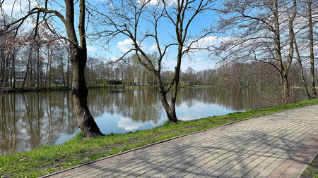 Park in the center of the city in the spring in sunny weatherの写真素材