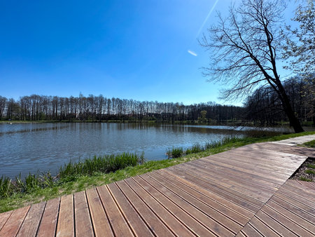 Wooden walkway on the lake with trees and blue sky.の写真素材