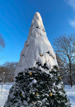 Christmas tree covered with snow in the city park on a winter dayの写真素材