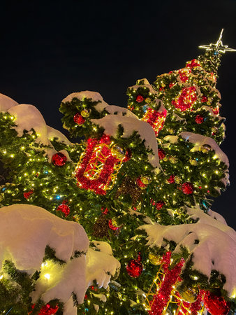 Christmas tree covered with snow at night in the city.の写真素材