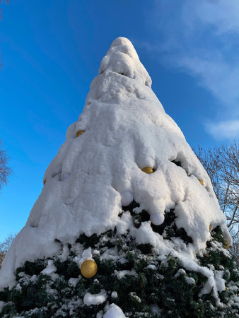 View of the attraction in Odessaの写真素材