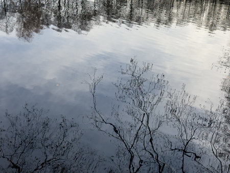 Reflection of trees in the water of the lake in autumn season