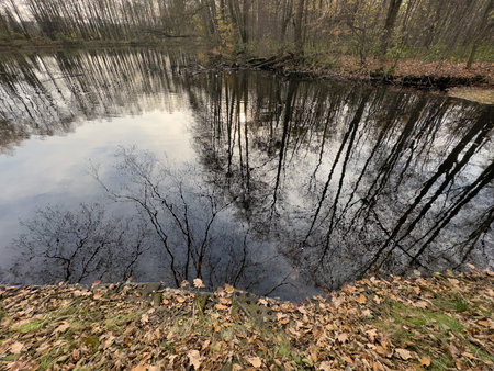 reflection of trees in the water of the lake in the city parkの写真素材