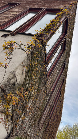 Venice, Italy. View of the Grand Canal with gondolasの写真素材