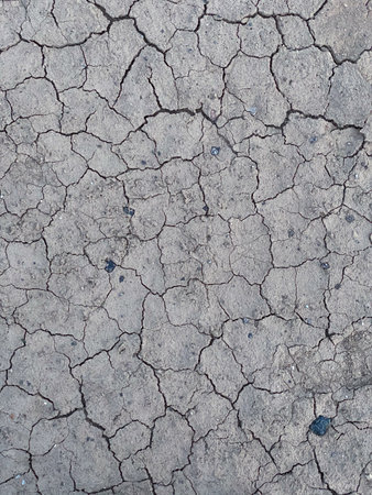 Dry cracked earth background texture.の写真素材