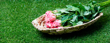 beautiful pink roses in basket lying on the wonderful green backgroundの写真素材