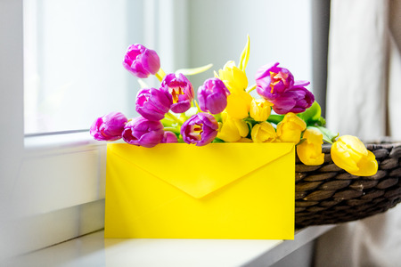 bunch of beautiful purple and yellow tulips in the basket and yellow envelope on the wonderful white windowsillの写真素材