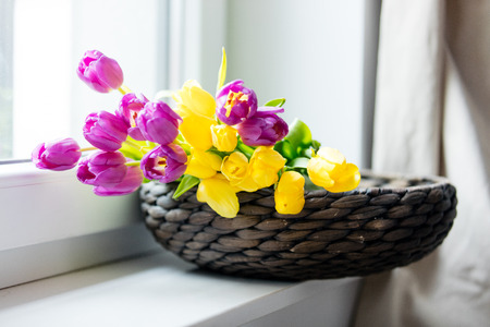 bunch of beautiful purple and yellow tulips in the basket on the wonderful white windowsillの写真素材