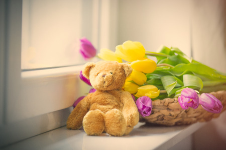 bunch of beautiful purple and yellow tulips in the basket and cute teddybear on the wonderful white windowsillの写真素材