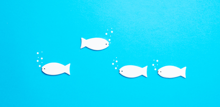 photo of white fish shaped toys on the wonderful blue studio backgroundの写真素材