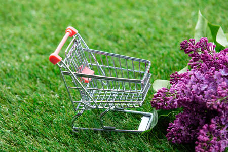 photo of shopping cart and bouquet of lilacs on the wonderful green grass backgroundの写真素材