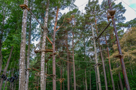 Adventurous outdoor activity at an aerial forest climbing challenge courseの写真素材