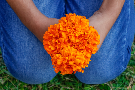 Marigold flower bouquet hold by girl in handの写真素材