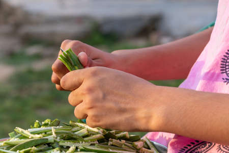Young girl cutting okra lady finger with knife, preparing bhindi for cookingの写真素材