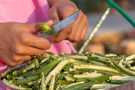 Young girl cutting okra lady finger with knife, preparing bhindi for cookingの写真素材