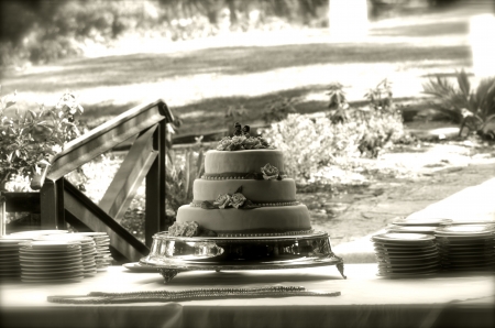 wedding cake, torta nuzzialeの写真素材