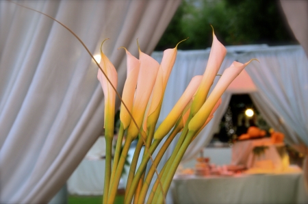 wedding designer, composizione florealeの写真素材