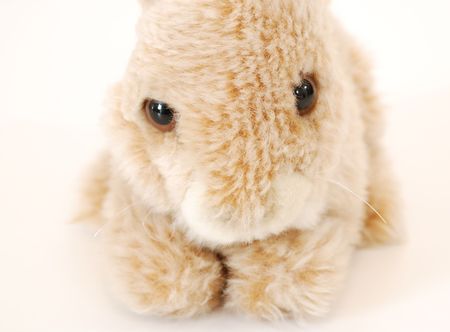 extreme close-up of a brown rabbit plush's face against white backgroundの写真素材