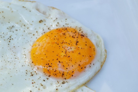 close-up of isolated fried eggの写真素材