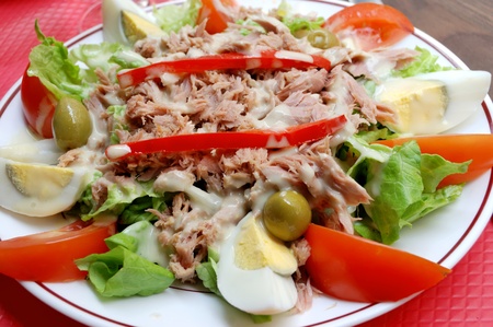 close-up of isolated salad with tomatoes, eggs, fish, tuna, herring, olive, lettuce and sauce の写真素材
