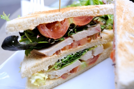 close-up of delicious isolated sandwich with tomato, egg, lettuce and chicken の写真素材