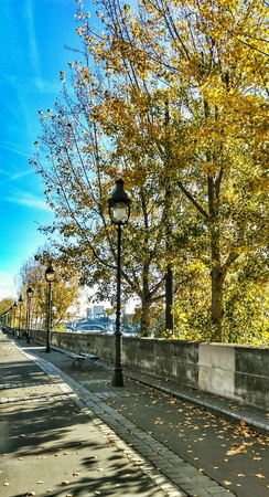 Old street in Parisの素材