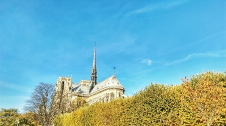 View of the cathedral Notre Dame de Paris in Autumnの素材