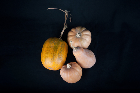 Four different size and color pumpkins on black backgroundの写真素材