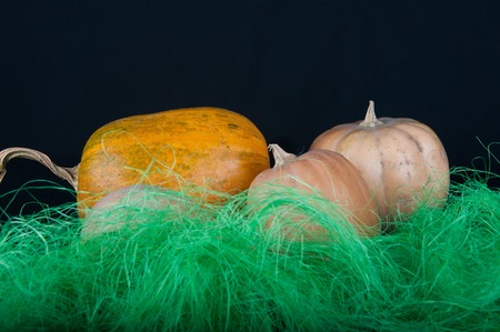 Tree orange and beige pumpkins laying in green synthetic grass on black backgroundの写真素材