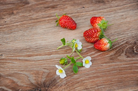 Branch of blooming strawberries and fruits on table. Focus on flowers.の写真素材