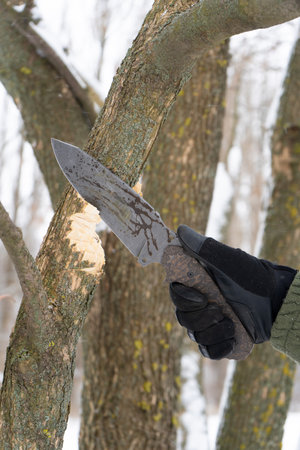 Close up of the human hand in black glove holding tactic knife cutting a wooden stick in winter....