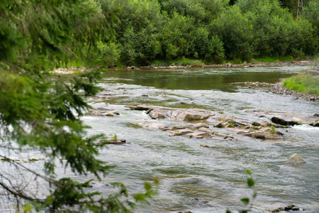 Clear waters of the mountain river gently flow over smooth stones, surrounded by vibrant greenery...