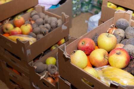 Natural eco friendly organic vegetables in cardboard boxes at agricultural harvest shop. Various freshly harvested bio fruits and vegetables, beetroots, apples, banana, onion. High quality photoの写真素材