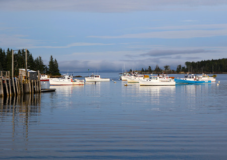 Summer Boatsの写真素材