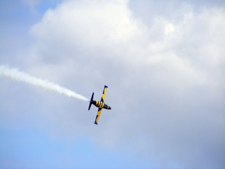 TUKUMS, LATVIA - AUGUST 1: The Latvian aerobatic display team the Baltic bees on plane Aero L-39...