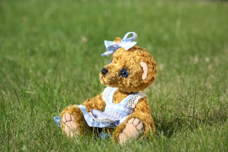 Beautiful girl teddy bear in blue dress in the gardenの写真素材