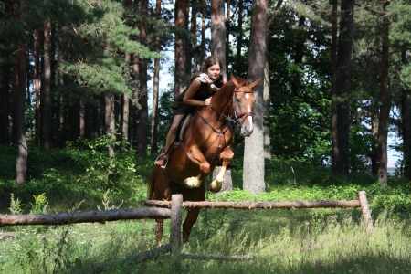 Teenager girl jumping over the fence with horse in forestの写真素材