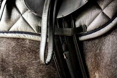 Close up of black leather saddle on gray horse backの写真素材