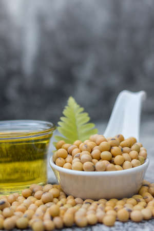 Healthy soybeans are high in protein and vitamins.の写真素材
