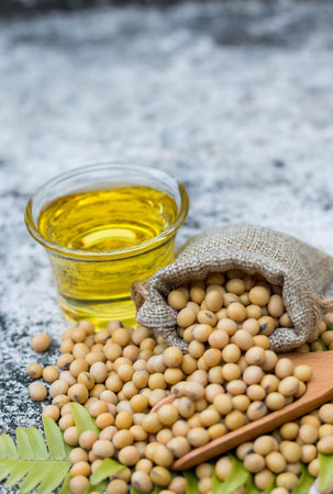 Healthy soy on a wooden spoon,copy space.の写真素材