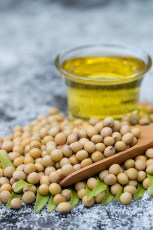 Healthy soy on a wooden spoon,copy space.の写真素材