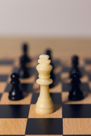 White chess king surrounded by pawns on chessboard, symbolizing leadership, teamwork, strategy, business planning, and decision making.の写真素材