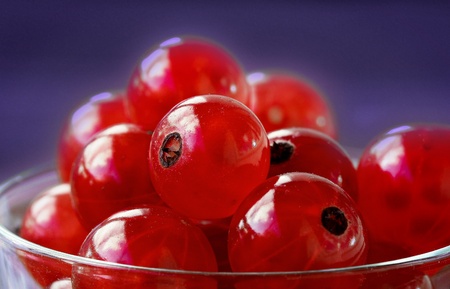 Fresh red currants in a glass with a purple background