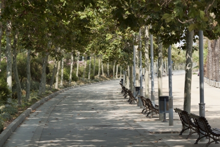 The promenade by the sea  Calella, Spainの写真素材