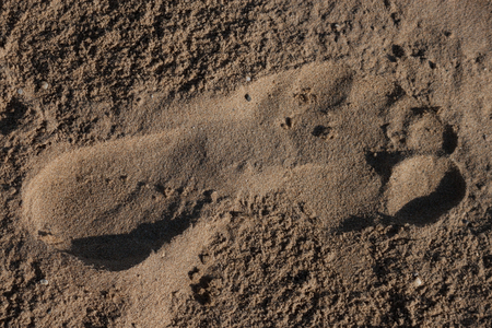 Trace a bare foot on the sandの写真素材