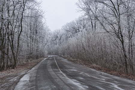The road through the winter woods. All lightly snowing. Left turnの写真素材