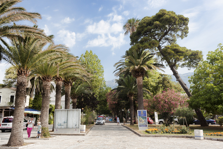 BUDVA, MONTENEGRO - JUNE 26, 2017: The streets of Budva in summer are buried in greenery and flowersのeditorial素材