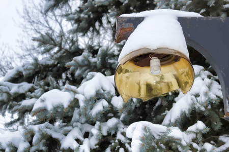 Broken light without lamp on the background of spruce, covered with snowの写真素材