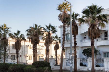 Cottages in Sharm El Sheikh in the rays of the evening sun. Around the palm treeのeditorial素材
