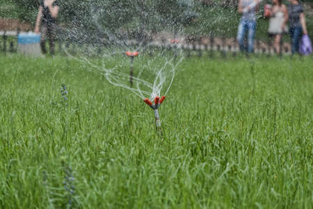 Watering fountains on a green meadow. A pipe with a tap sticks out of the ground, a watering system of five orange tips is attached to it, from which water flowsの写真素材